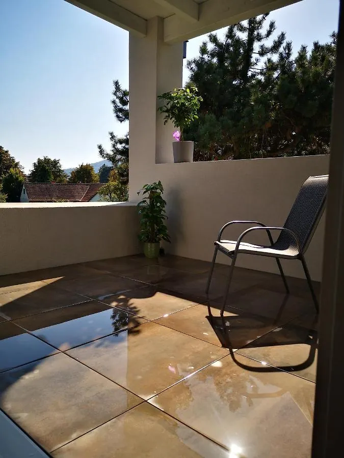 Spacy Apartment Next To The Center Of Graz With Terrasse